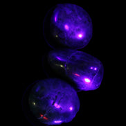 Neon Blue Apatite 3 tumbled stones 16-17g in UV light