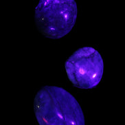 Neon Blue Apatite 3 tumbled stones 16-17g in UV light