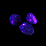 Neon Blue Apatite 3 tumbled stones 16-17g in UV light
