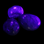Neon Blue Apatite 3 tumbled stones 16-17g Rocks and Things Store