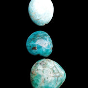 Neon Blue Apatite 3 tumbled stones 16-17g in sunlight - Rocks and Things Store