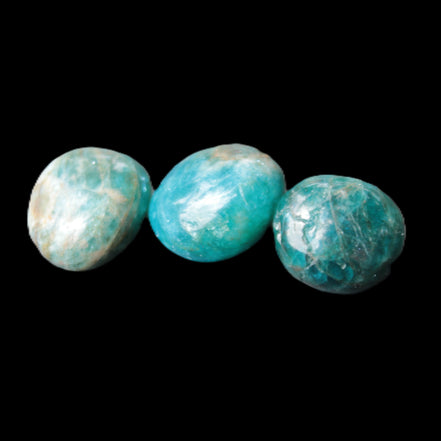 Neon Blue Apatite 3 tumbled stones 16-17g in sunlight - Rocks and Things Store