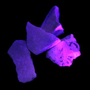 Bumblebee Jasper 2-4 natural stones 20-25g Rocks and Things Store