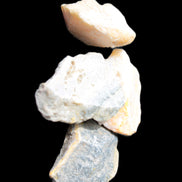 Bumblebee Jasper 2-4 natural stones 20-25g