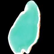 Green Agate 70*5*40mm slice 24g Rocks and Things Store
