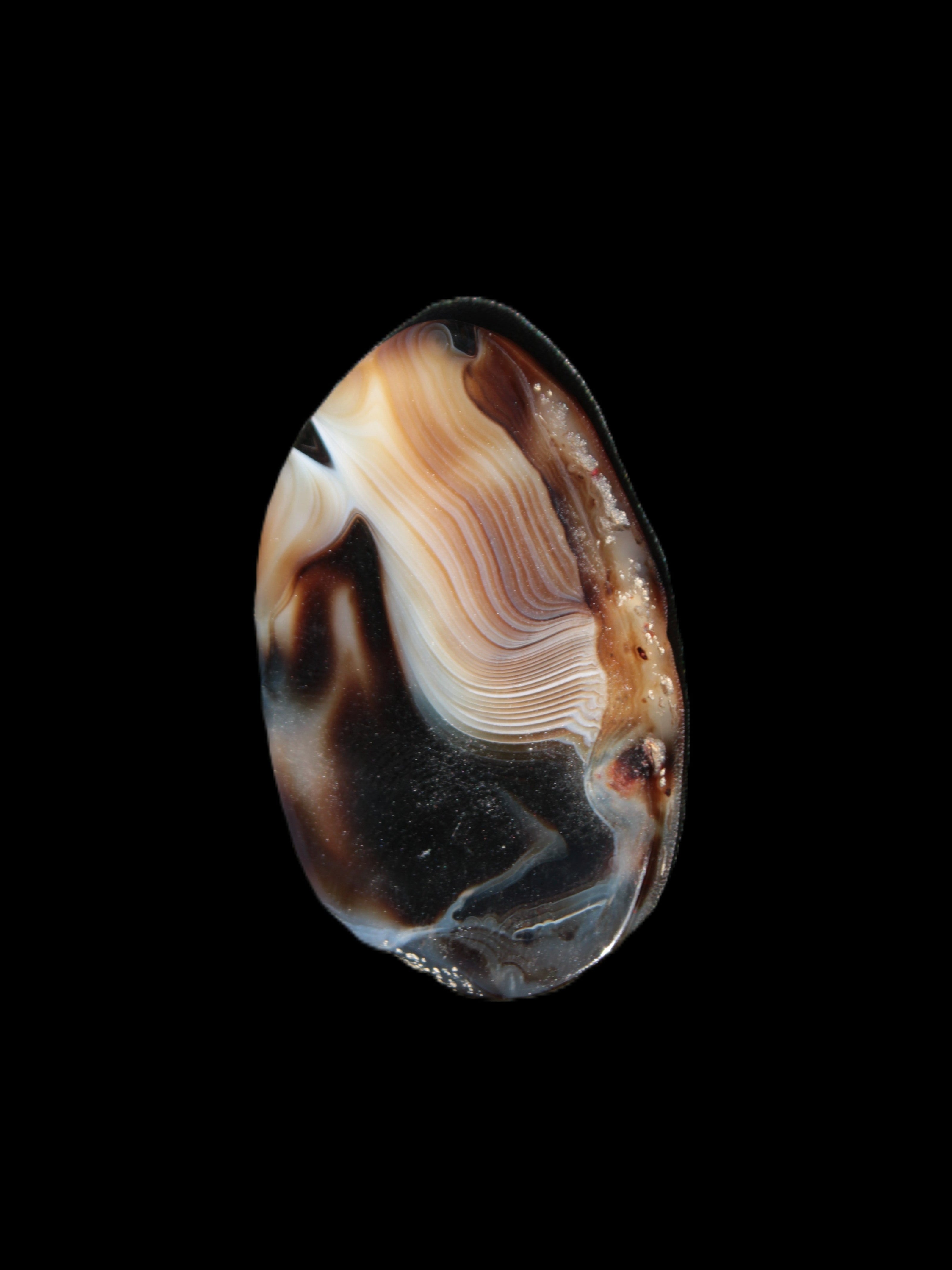 Crazy Lace Agate from Madagascar slice 47*4*29mm 15.8g Rocks and Things Store