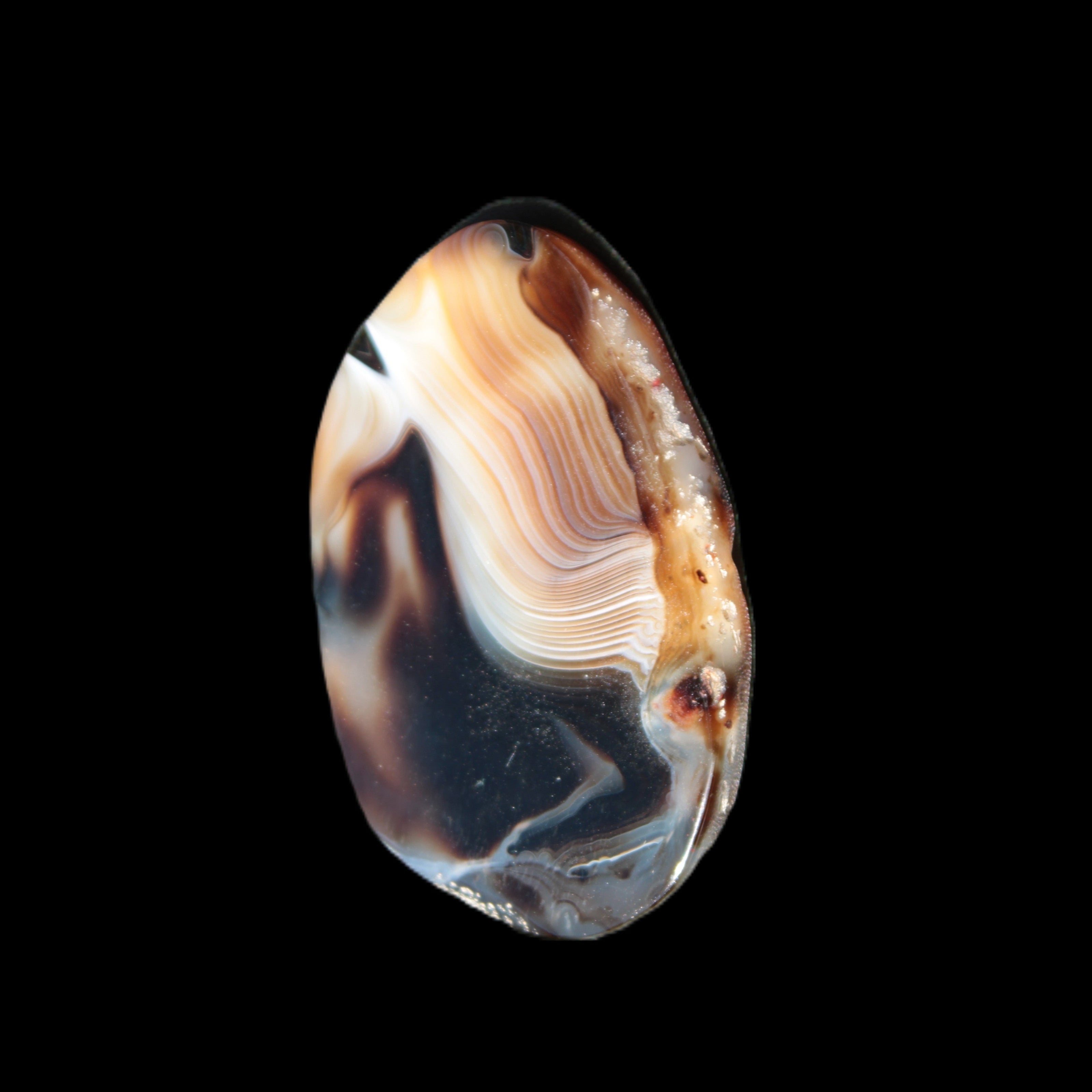 Crazy Lace Agate from Madagascar slice 47*4*29mm 15.8g Rocks and Things Store