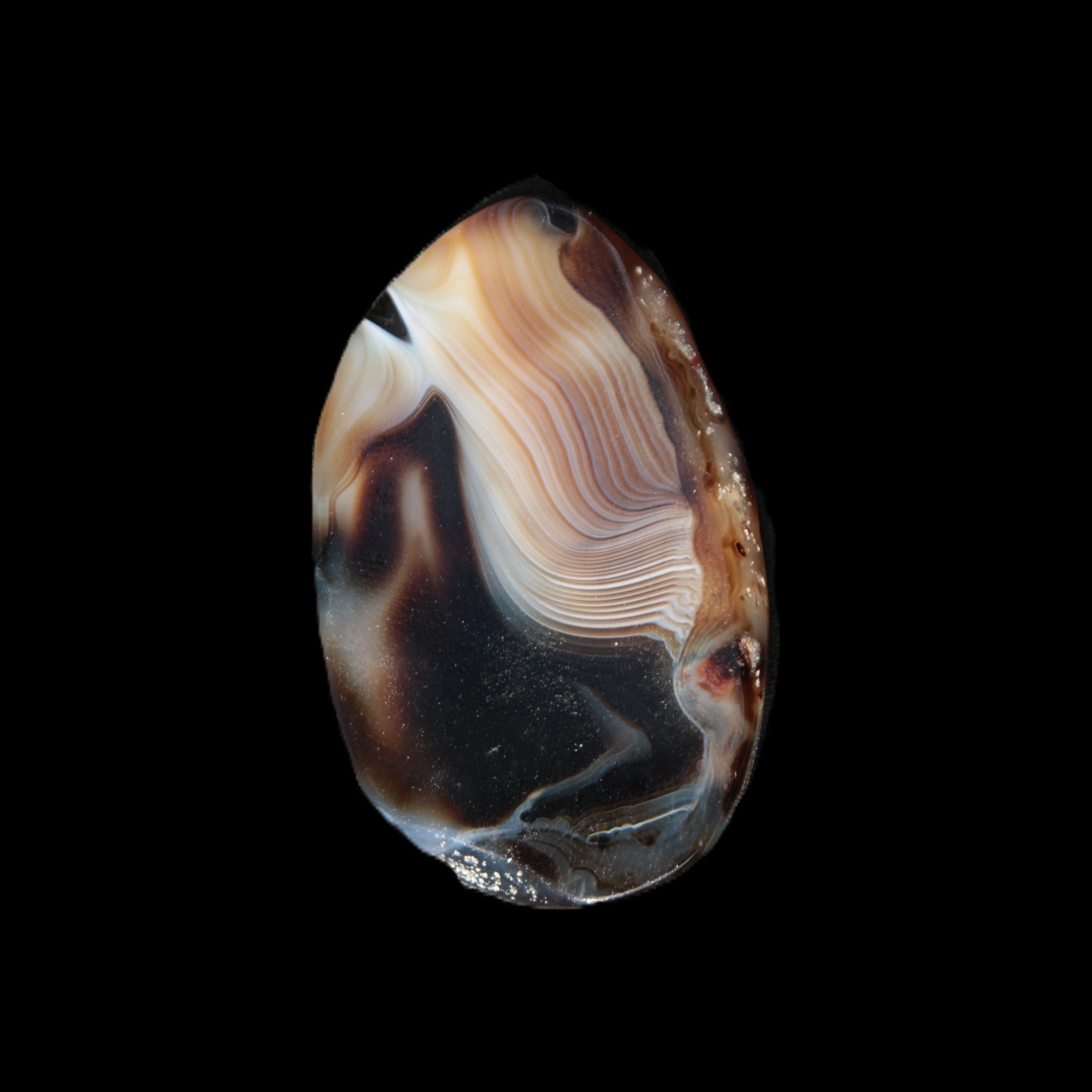 Crazy Lace Agate from Madagascar slice 47*4*29mm 15.8g Rocks and Things Store