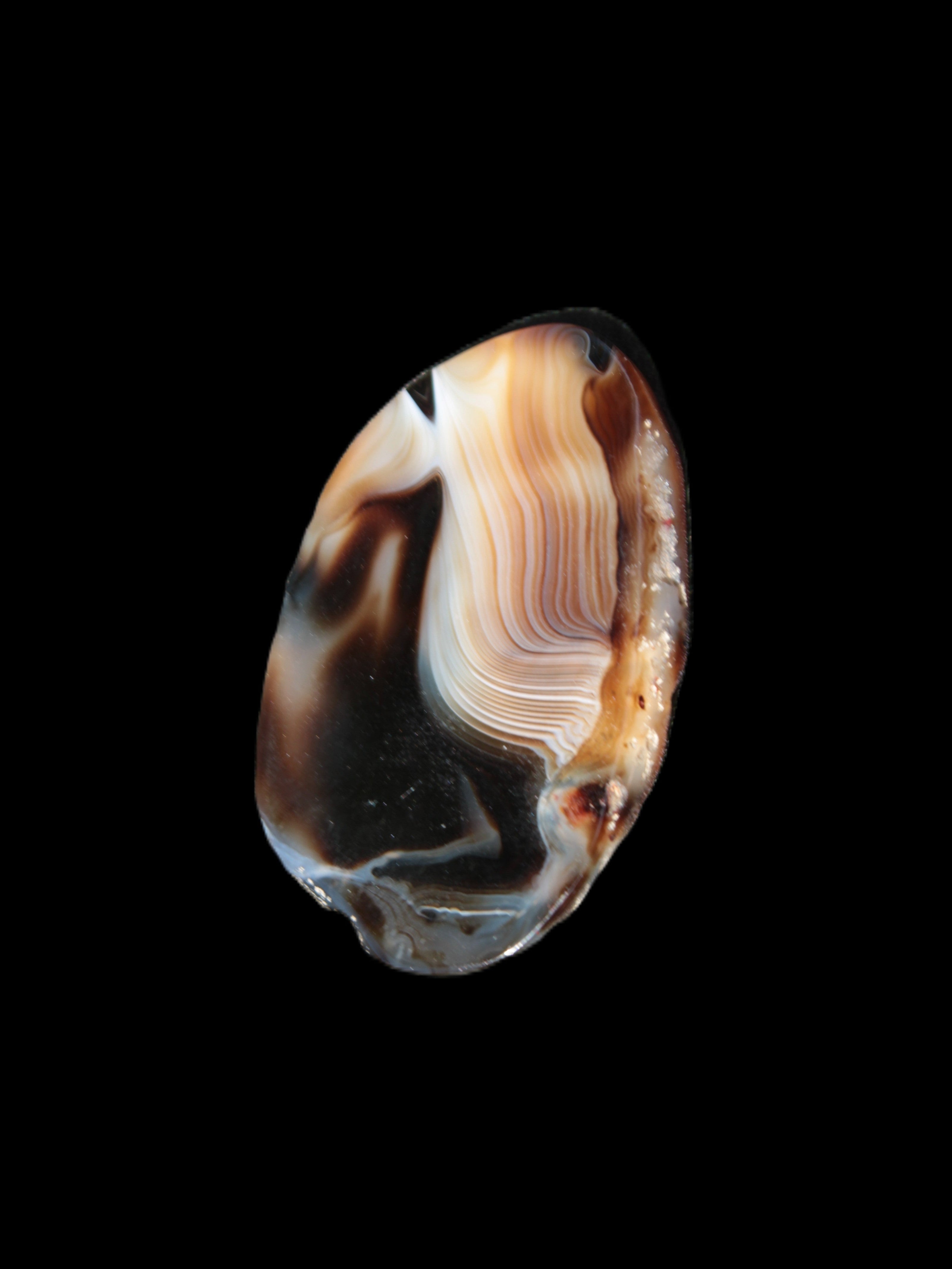 Crazy Lace Agate from Madagascar slice 47*4*29mm 15.8g Rocks and Things Store
