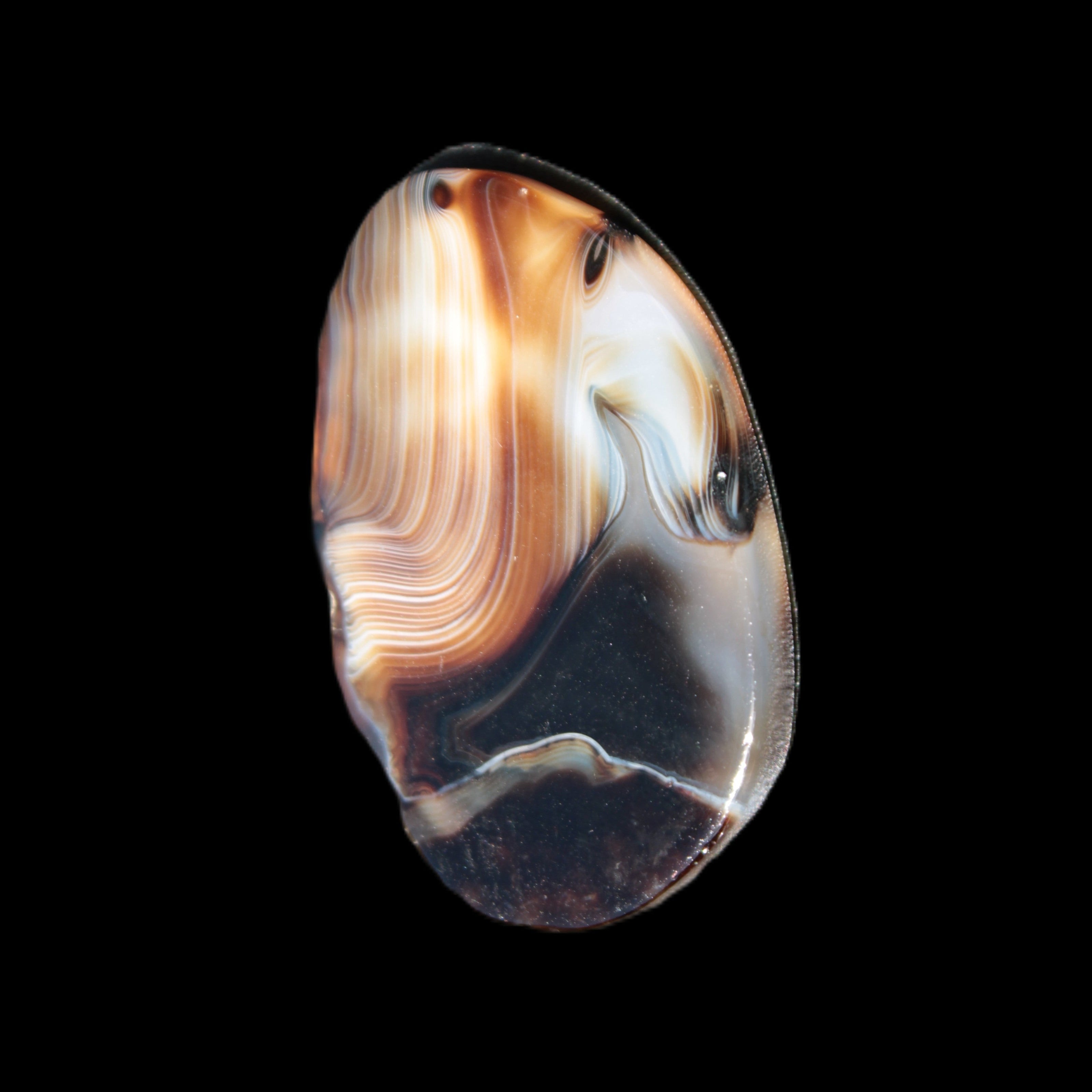 Crazy Lace Agate from Madagascar slice 47*4*29mm 15.8g Rocks and Things Store