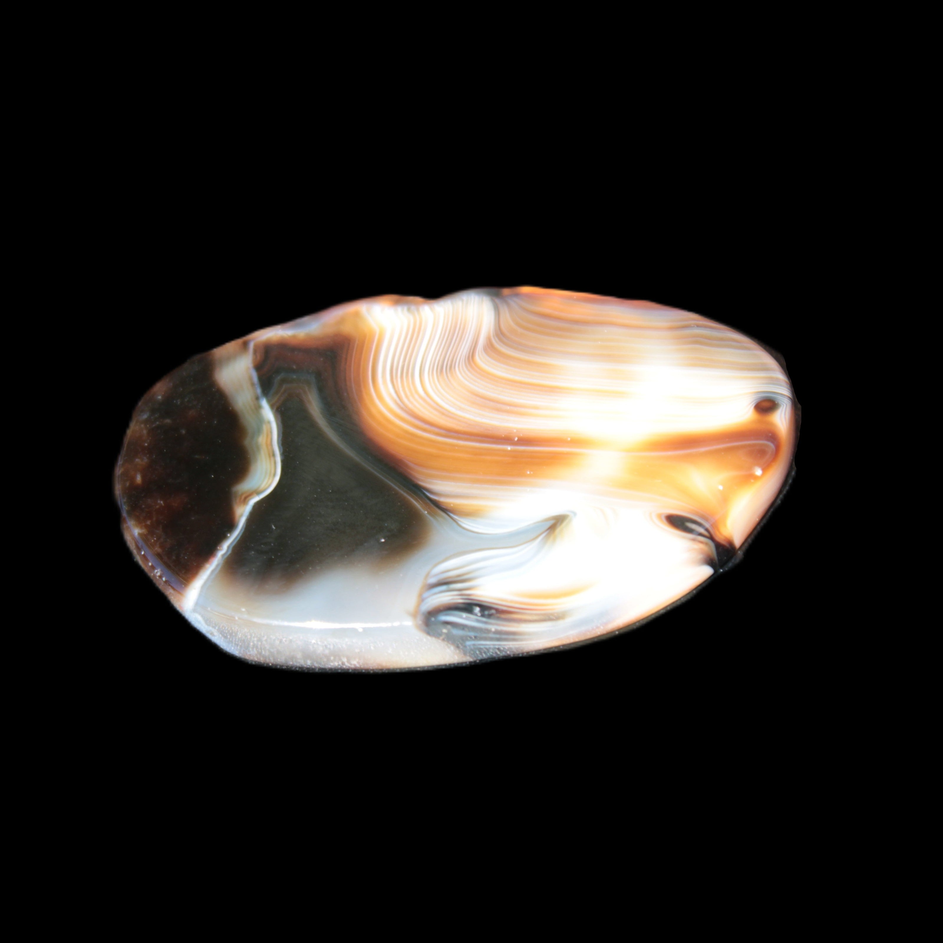 Crazy Lace Agate from Madagascar slice 47*4*29mm 15.8g Rocks and Things Store