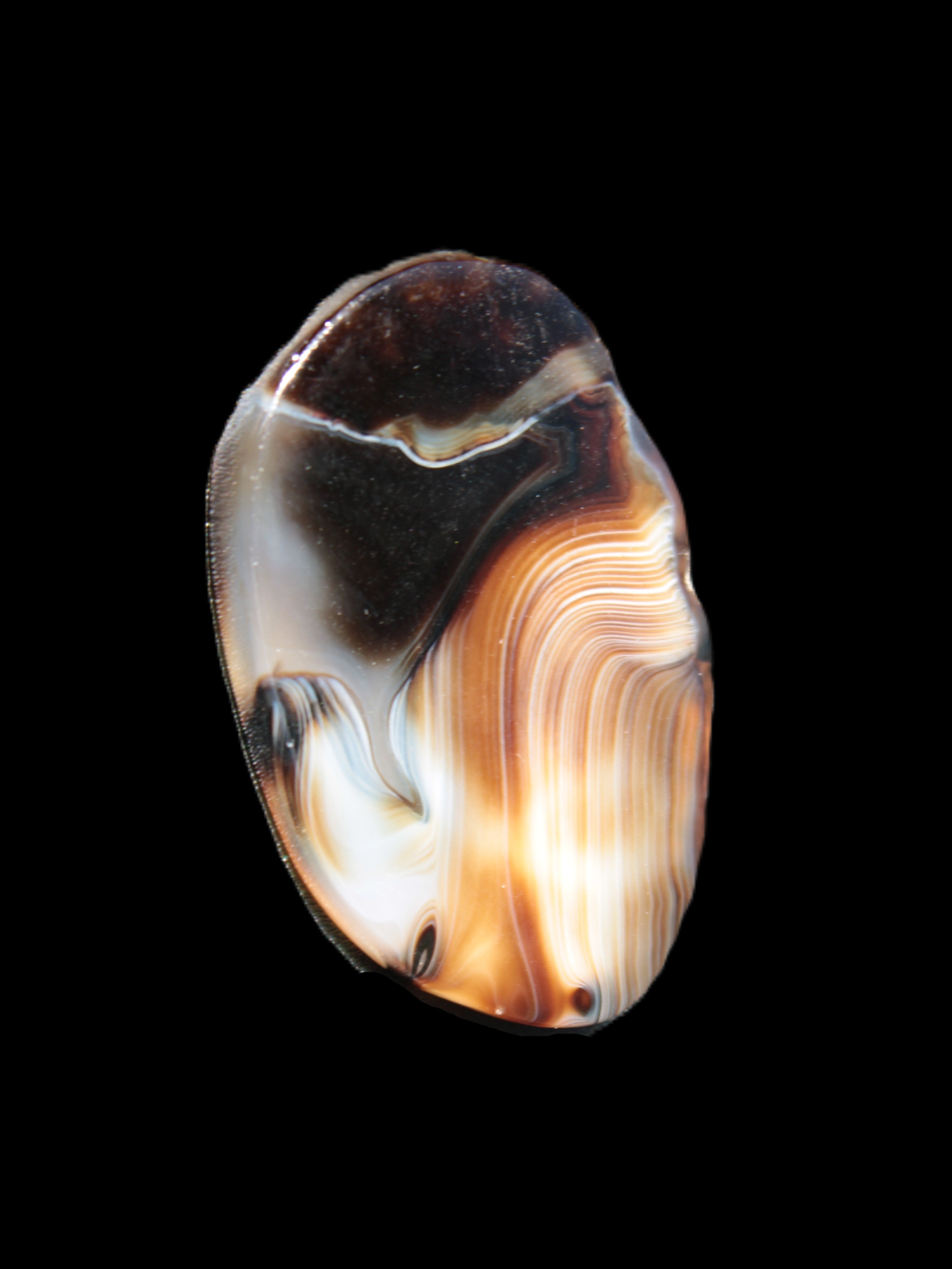 Crazy Lace Agate from Madagascar slice 47*4*29mm 15.8g Rocks and Things Store