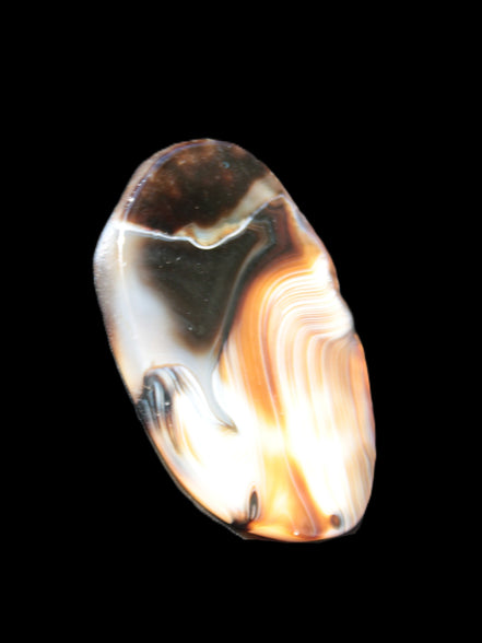 Crazy Lace Agate from Madagascar slice 47*4*29mm 15.8g Rocks and Things Store
