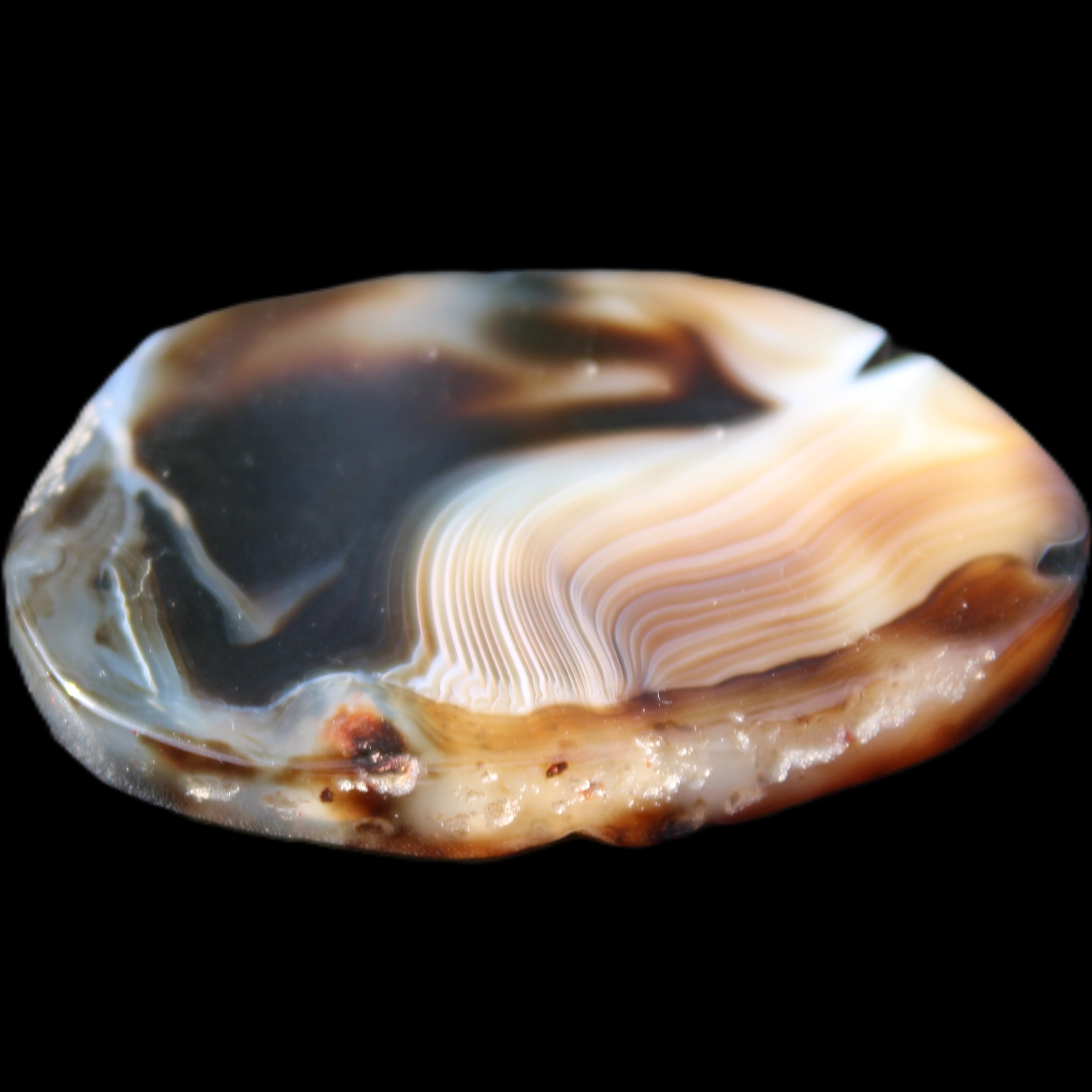 Crazy Lace Agate from Madagascar slice 47*4*29mm 15.8g in sunlight - Rocks and Things Store