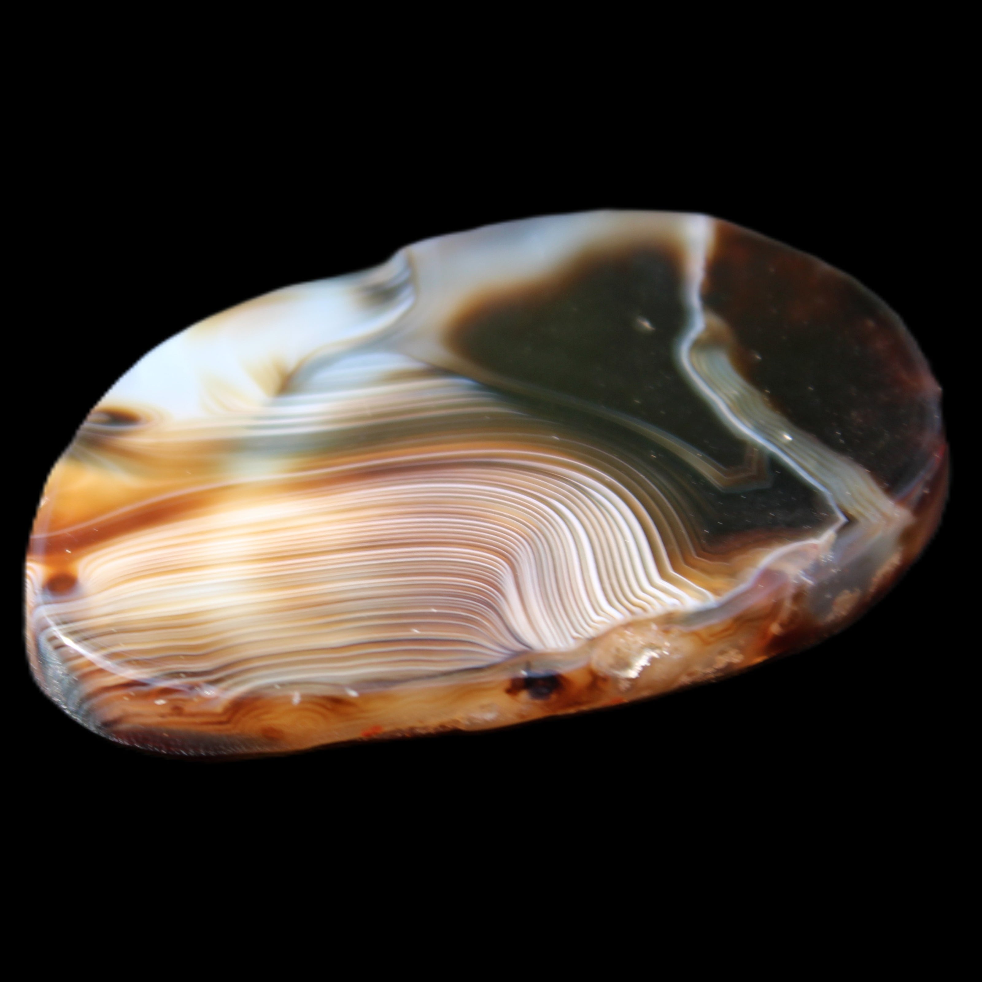 Crazy Lace Agate from Madagascar slice 47*4*29mm 15.8g in sunlight - Rocks and Things Store