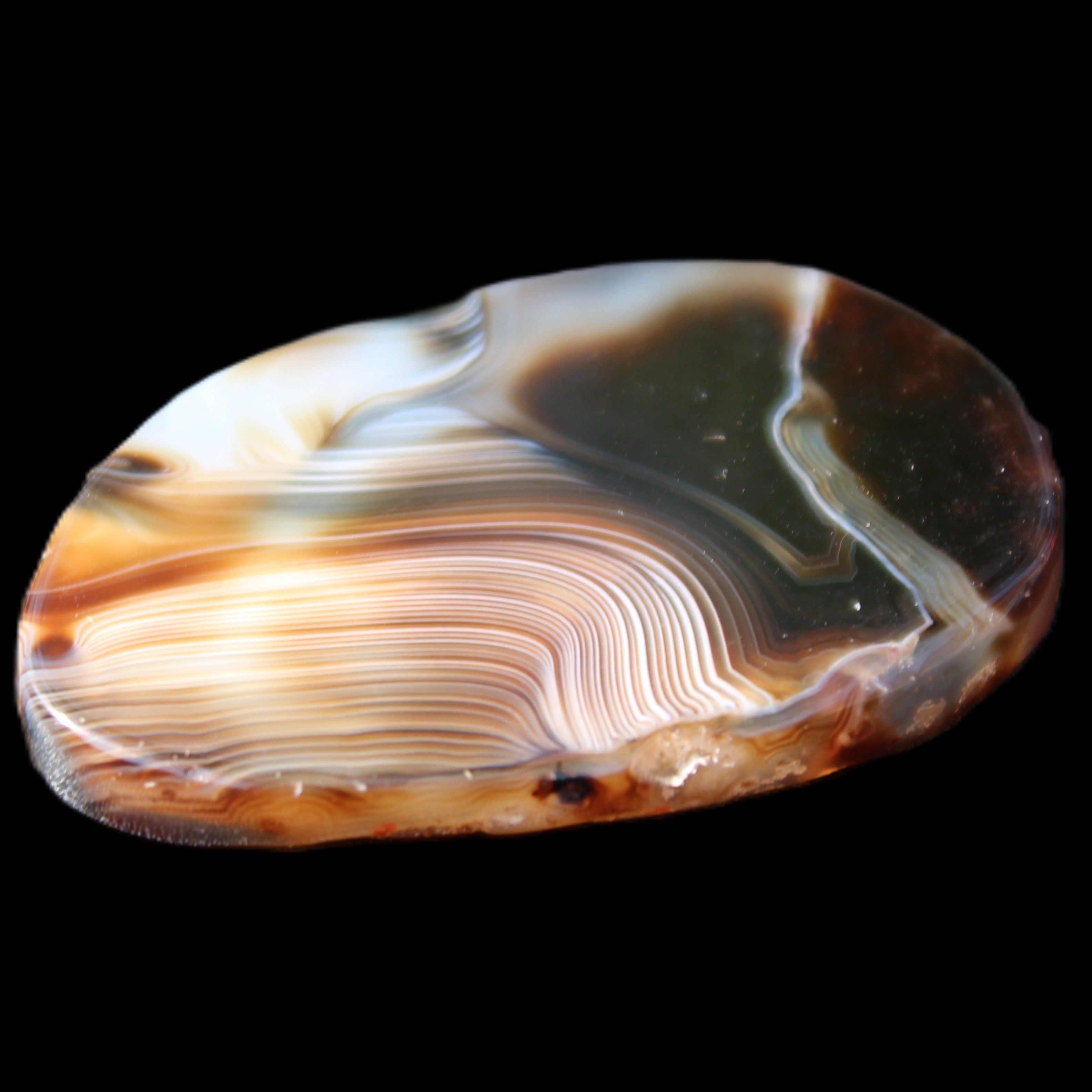 Crazy Lace Agate from Madagascar slice 47*4*29mm 15.8g in sunlight - Rocks and Things Store