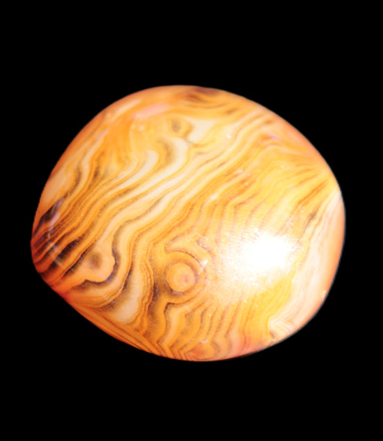 Crazy Lace Agate 45*40mm 60g Rocks and Things Store