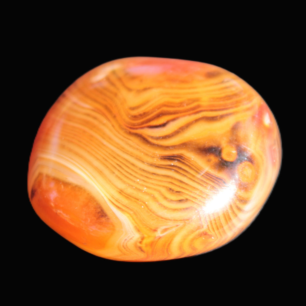 Crazy Lace Agate 45*40mm 60g Rocks and Things Store