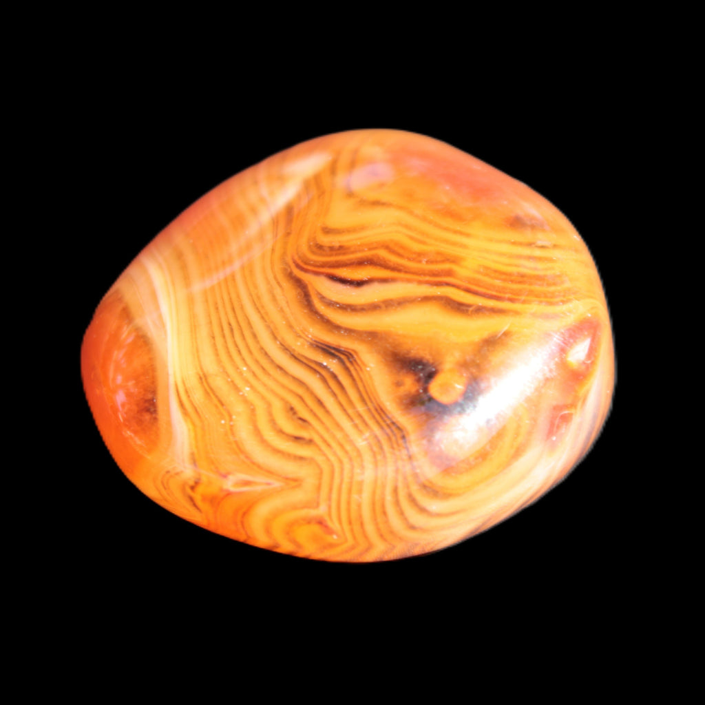 Crazy Lace Agate 45*40mm 60g Rocks and Things Store