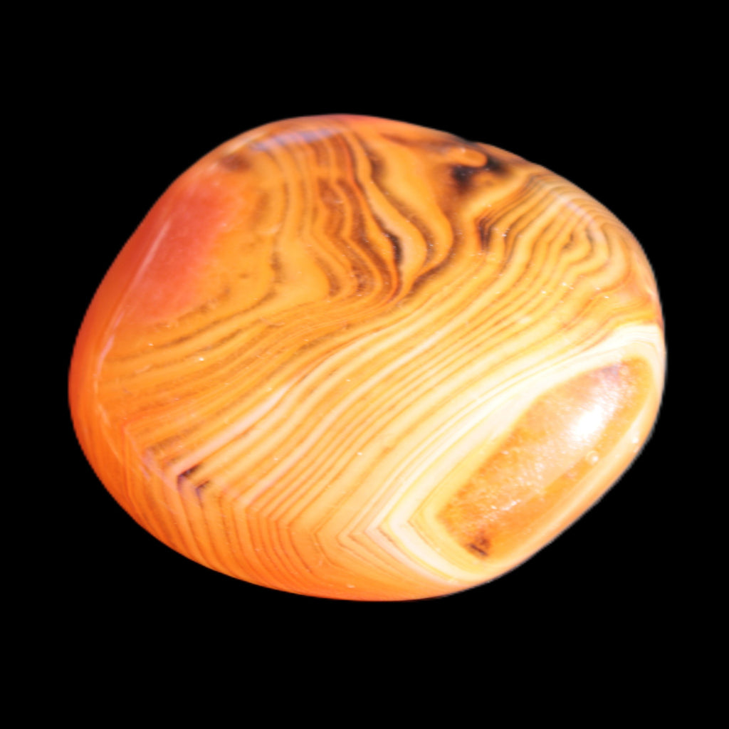 Crazy Lace Agate 45*40mm 60g Rocks and Things Store
