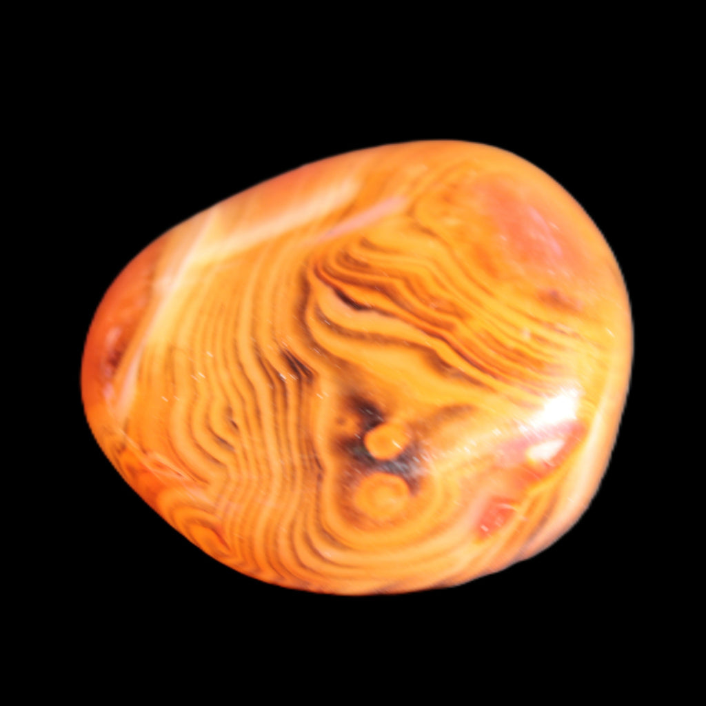 Crazy Lace Agate 45*40mm 60g Rocks and Things Store