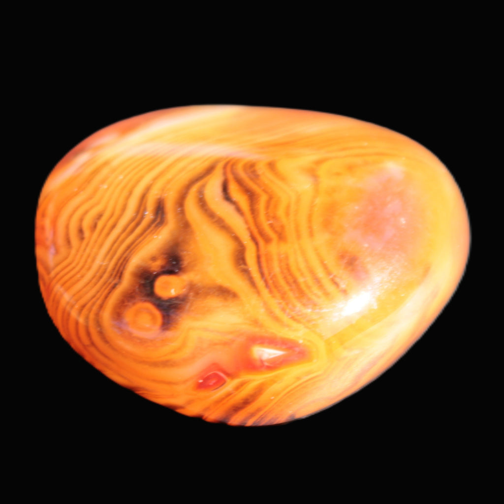 Crazy Lace Agate 45*40mm 60g Rocks and Things Store