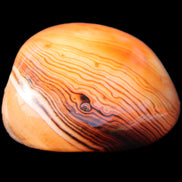 Crazy Lace Agate from Madagascar 74g in sunlight - Rocks and Things Store