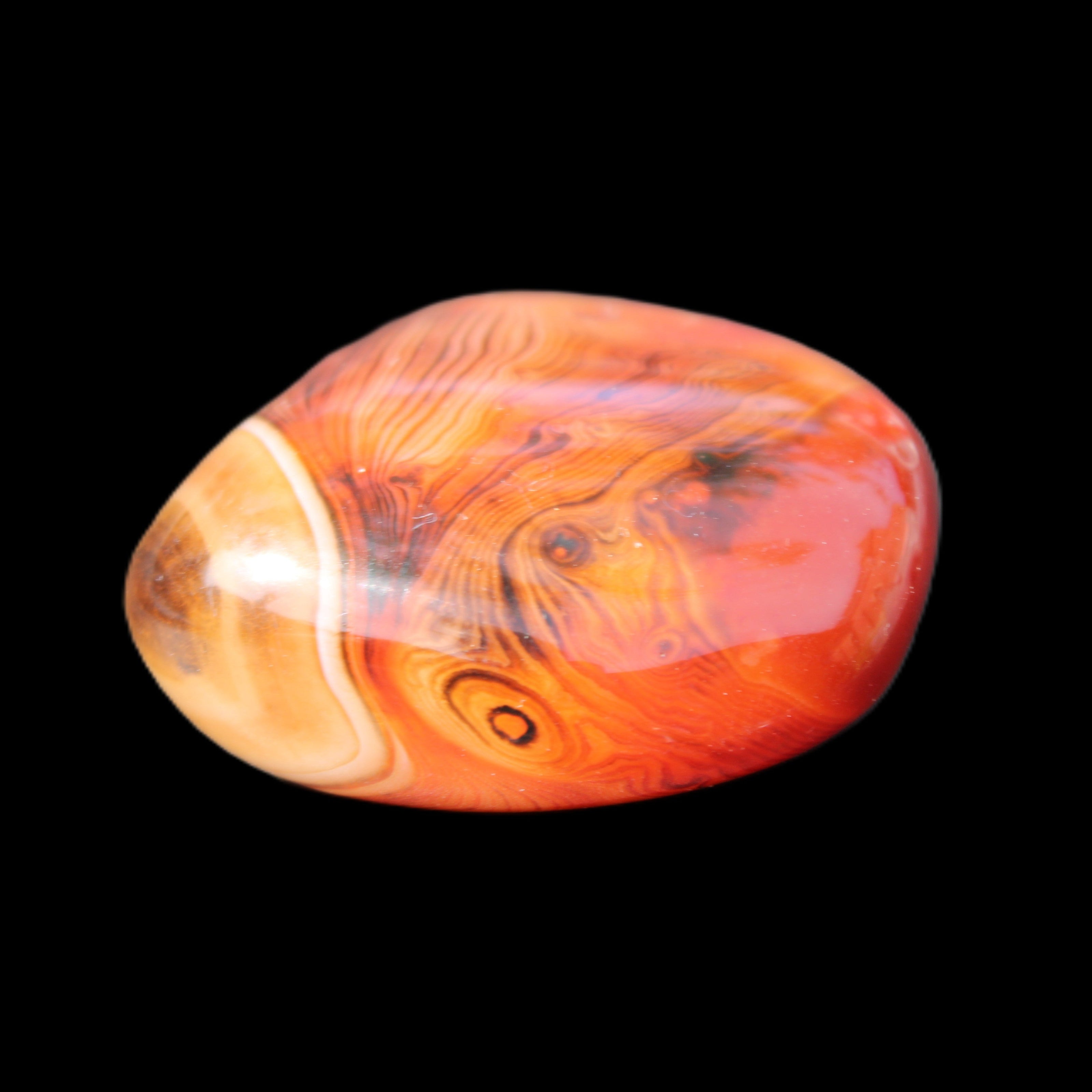 Crazy Lace Agate from Madagascar 74g in sunlight - Rocks and Things Store