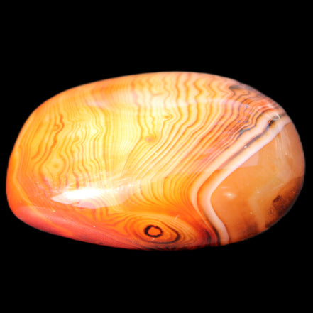 Crazy Lace Agate from Madagascar 74g in sunlight - Rocks and Things Store