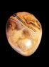 Crazy Lace Agate from Madagascar 45*40mm 71g Rocks and Things Store