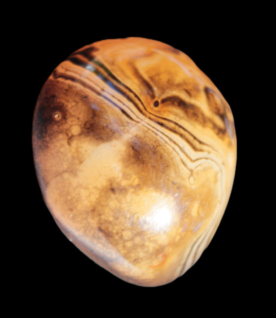 Crazy Lace Agate from Madagascar 45*40mm 71g Rocks and Things Store