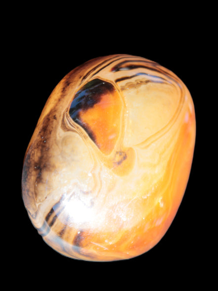 Crazy Lace Agate from Madagascar 45*40mm 71g Rocks and Things Store