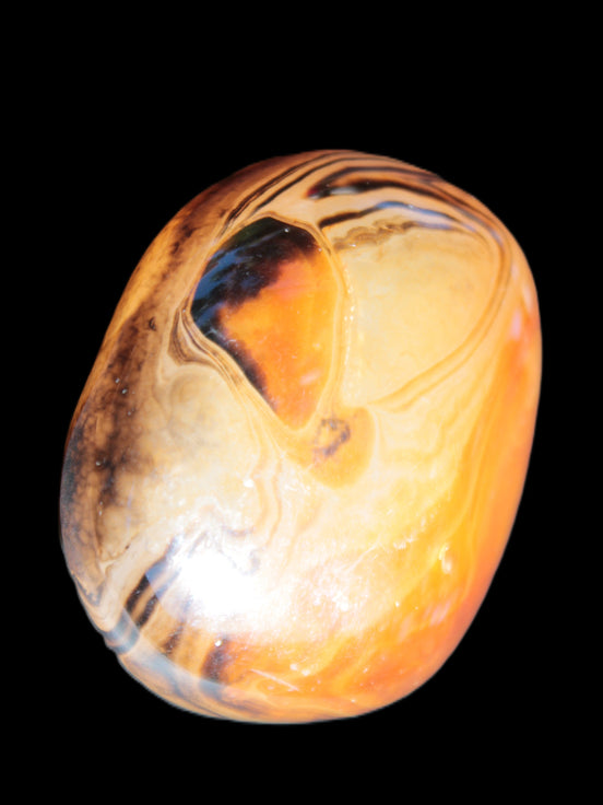 Crazy Lace Agate from Madagascar 45*40mm 71g Rocks and Things Store