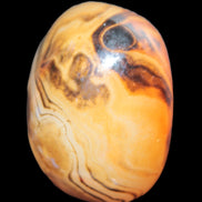 Crazy Lace Agate from Madagascar 45*40mm 71g in sunlight - Rocks and Things Store