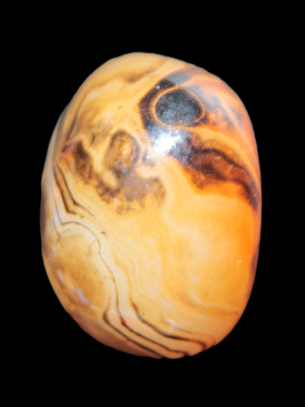 Crazy Lace Agate from Madagascar 45*40mm 71g Rocks and Things Store