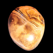 Crazy Lace Agate from Madagascar 45*40mm 71g in sunlight - Rocks and Things Store