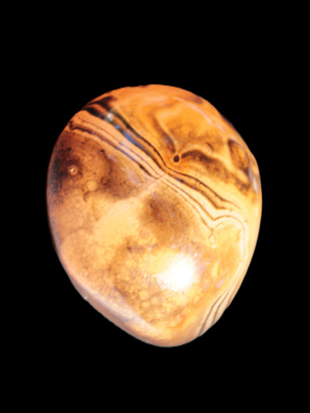 Crazy Lace Agate from Madagascar 45*40mm 71g Rocks and Things Store
