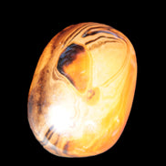 Crazy Lace Agate from Madagascar 45*40mm 71g in sunlight - Rocks and Things Store