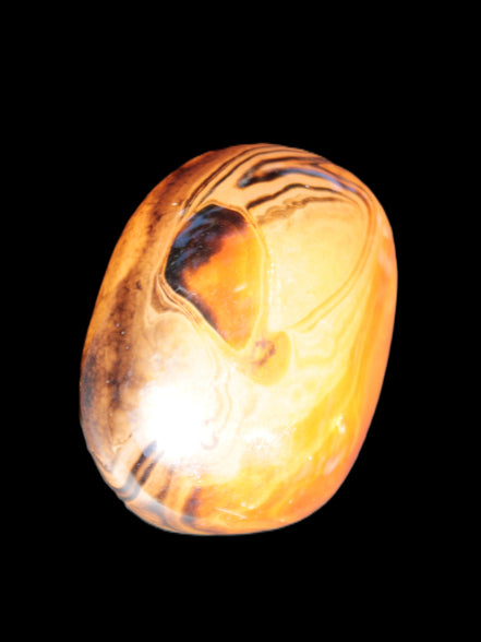 Crazy Lace Agate from Madagascar 45*40mm 71g Rocks and Things Store