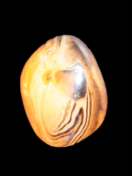 Crazy Lace Agate from Madagascar 45*40mm 71g Rocks and Things Store