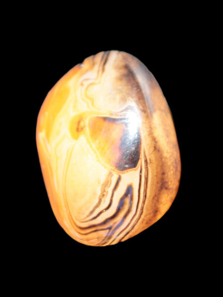 Crazy Lace Agate from Madagascar 45*40mm 71g Rocks and Things Store