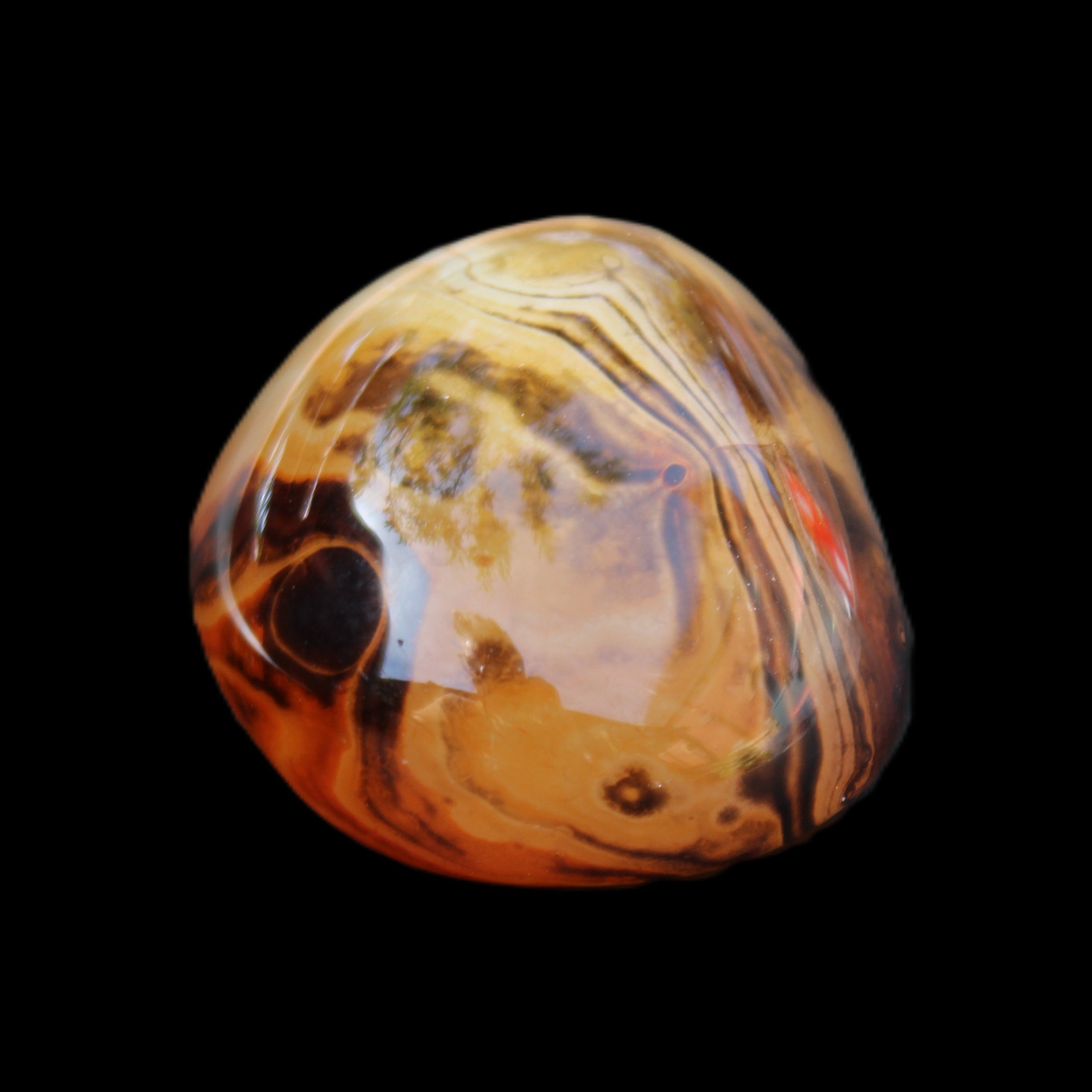 Crazy Lace Agate from Madagascar 45*40mm 71g in sunlight - Rocks and Things Store