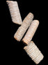 Crinoid stem fossil specimens in sunlight - Rocks and Things Store