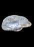 Blue Dumortierite in polished Quartz crystal 2.1ct in bright sunshine