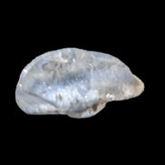 Blue Dumortierite in polished Quartz crystal 2.1ct in bright sunshine