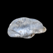 Blue Dumortierite in polished Quartz crystal 2.1ct in bright sunshine