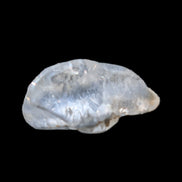 Blue Dumortierite in polished Quartz crystal 2.1ct in bright sunshine