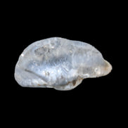 Blue Dumortierite in polished Quartz crystal 2.1ct in bright sunshine