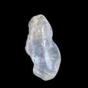 Blue Dumortierite in polished Quartz crystal 2.1ct in bright sunshine