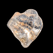 Blue Dumortierite in Golden Healer Quartz crystal 7.3ct in bright sunlight